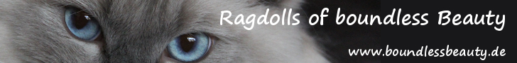 banner02