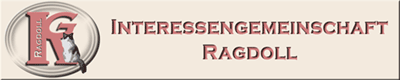 igrbanner_462