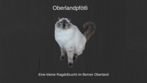 Oberlandpfoetli-300x169